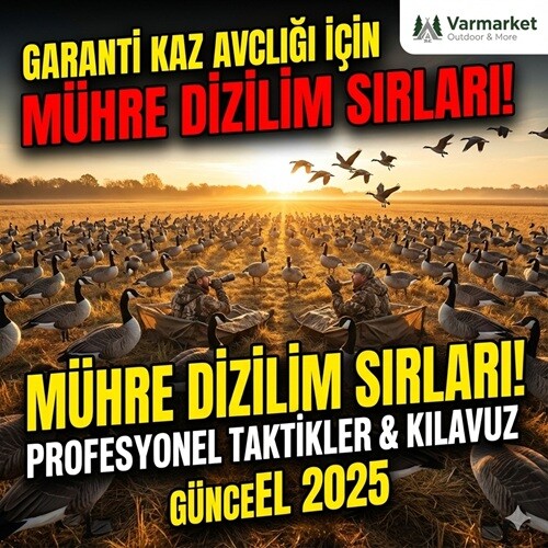 Kaz Mühreleri Kullanım Kılavuzu: Hangi Tür Kaz Mühresi Hangi Mevsimde Kullanılır? (2025 Rehberi)